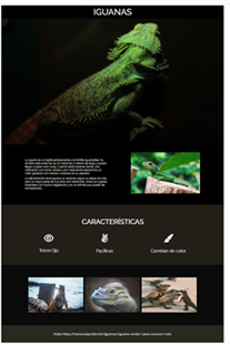 Proyecto Iguana Page - Angela Aguila